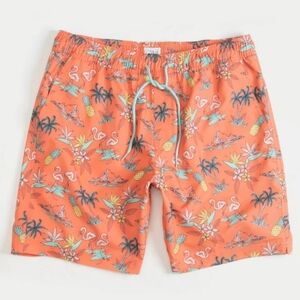 BLUE CROWN Tropic Tourist Boys 7" Inseem Swim Shorts CORAL Tillys Beach Flamingo